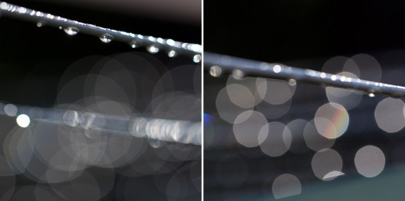 demonstration of aperture effect on bokeh