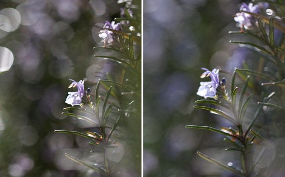 effect of distance on bokeh lights