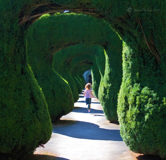 girl running into maze