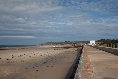 le don hilton (straight)