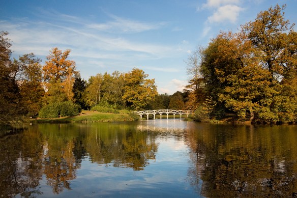 Painshill Park, Surrey