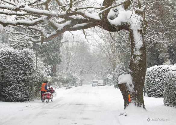 neither rain, nor sleet, nor snow postman in snow
