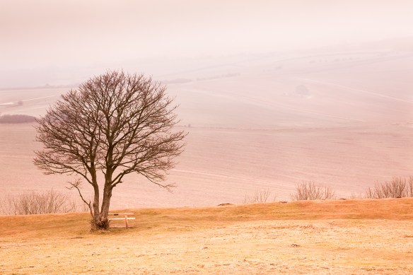 Sussex landscape